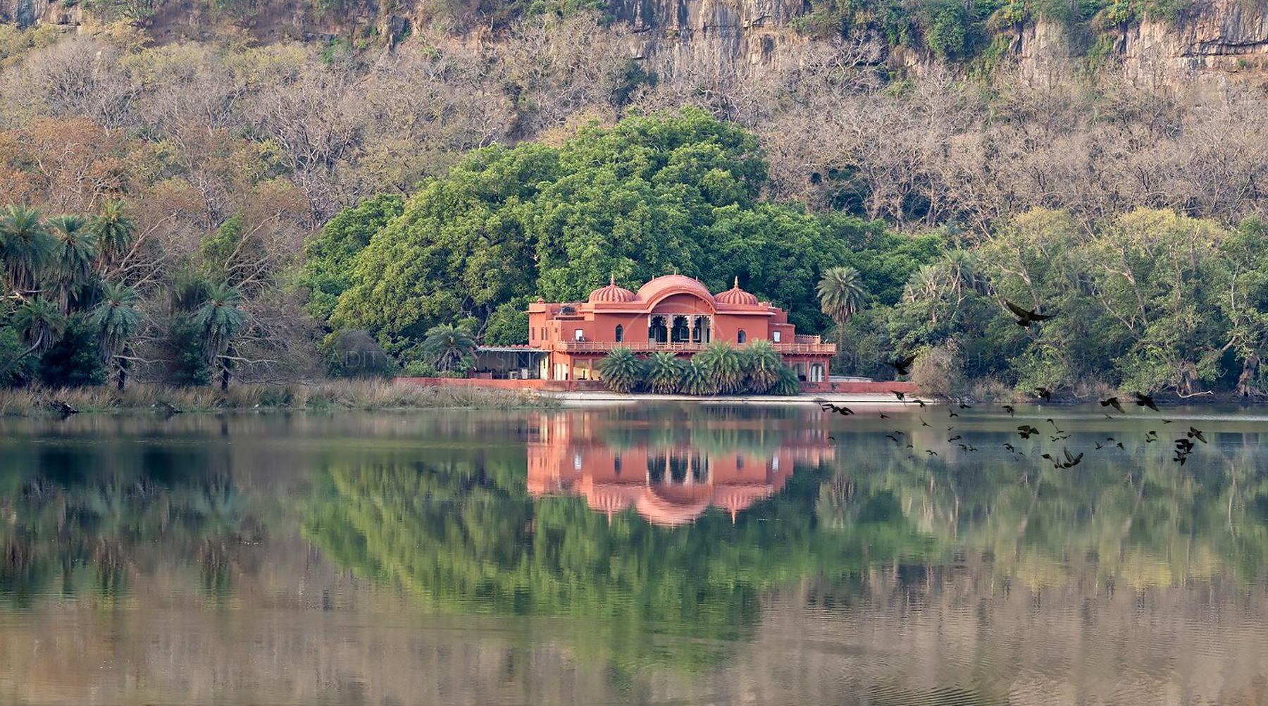 Ranthambore Jogi Mehal